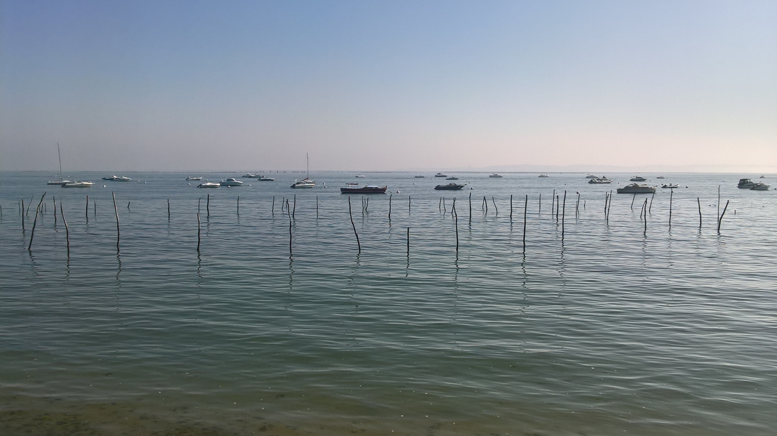 WP_20181021_13_38_20_Pro